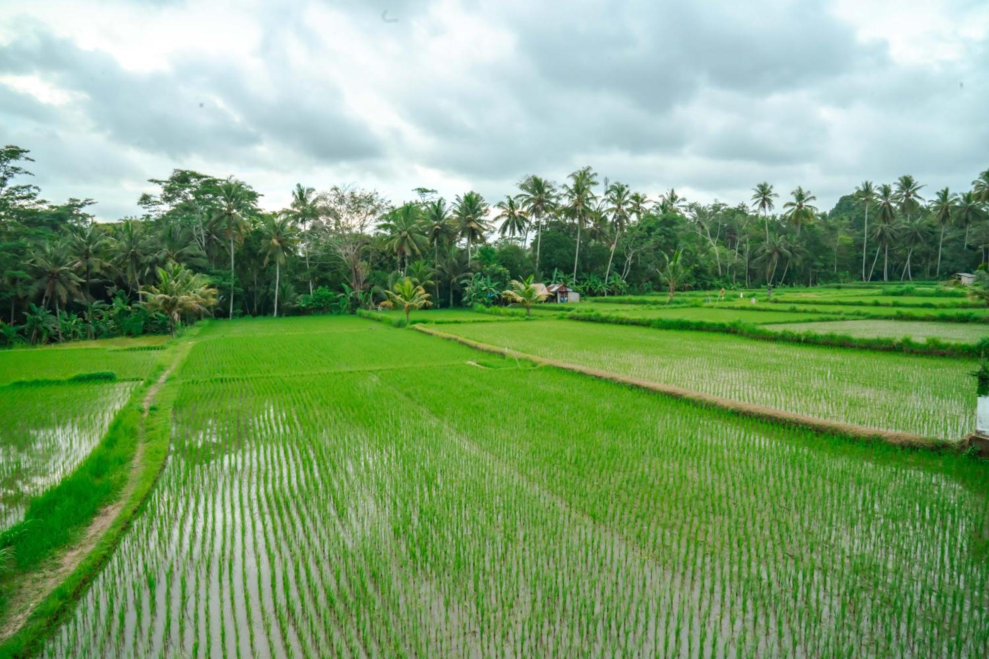 Tulus Hati Ubud Retreat Eksteriør billede